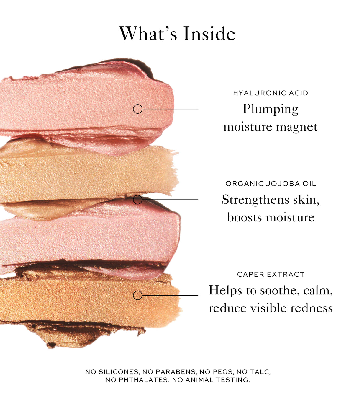 The Brush & Glow Duo